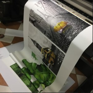 in vai canvas dak lak 1 Tranh canvas In ấn Đăk Lăk - In nhanh Buôn Ma Thuột
