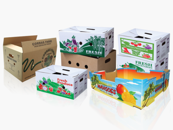Hộp carton - Hình ảnh 6